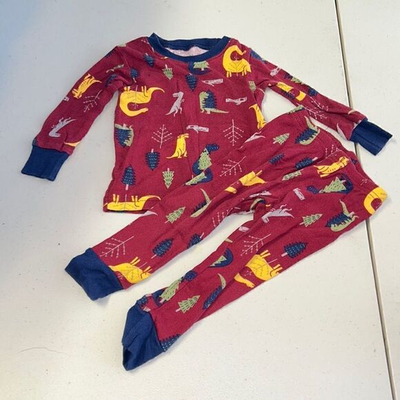 Carter dinosaur pjs - Picture 1 of 1